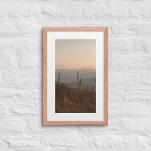 Mountain Wildflowers Sunset Print | Max Patch NC Smoky Mountains Wall Art | Appalachian Landscape Photography