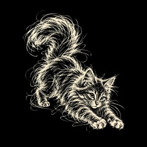 May include: A white line drawing of a fluffy cat in a playful stretching pose against a solid black background. The illustration uses loose, scribbled lines to define the feline's long fur, pointed ears, and arched back with a raised tail.