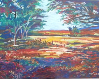 Texas Hill Country