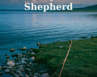 Led by the Shepherd PDF | Psalm 23 Leadership Bible Study | Christian Leader Devotional Digital Download