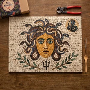 May include: A rectangular mosaic art piece featuring a central yellow face with green eyes surrounded by dark snakes, a small circular snake emblem, and a black trident symbol, accompanied by a box labeled My Mosaic Lab, pliers, tweezers, and a spoon.