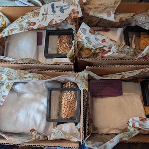 Puede incluir: Cuatro cajas de envío de cartón abiertas, forradas con papel de seda con motivos de setas y follaje. Cada caja contiene un marco de exhibición cuadrado negro, una bolsa de tela blanca, una pequeña tarjeta morada con EMPORIUM y material de embalaje.