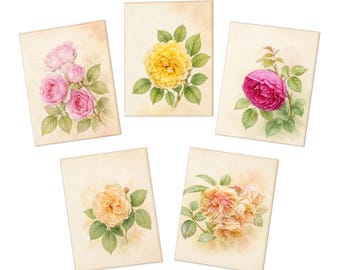 Vintage botanische rozenillustraties wenskaarten (5 stuks)
