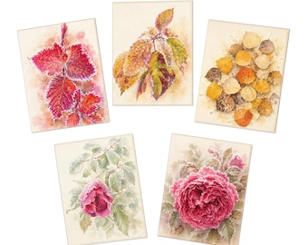 Vintage Floral Notes wenskaarten | 5-pack