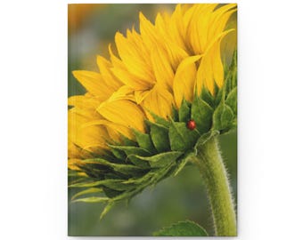 Notitieboek met harde kaft en close-up van zonnebloemen | Notitieboek voor botanische fotografie