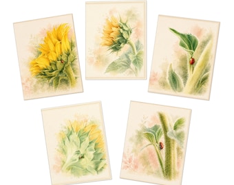 Set van 5 wenskaarten met zonnebloem en lieveheersbeestje | Bloemen wenskaarten
