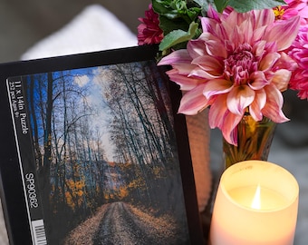 Aquarelpuzzel met herfstbospad: 252 stukjes, natuurlandschap, cottagecore cadeau