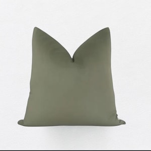 Green Velvet Pillow Cover, Sage Green Throw Pillow, Spring Pillow Cover, Neutral Pillow, Modern Pillow Cover, Soft Velvet Pillow Cover