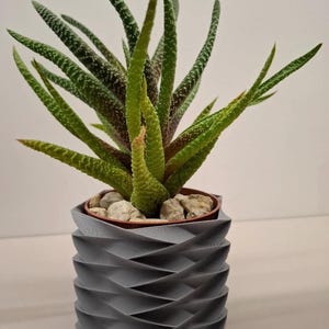 Geometric Indoor Planter Pot (8" Wide x 10" Tall)
