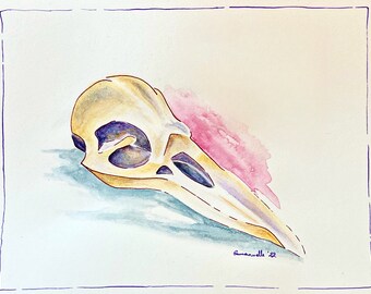Op de afbeelding: Waterverf schilderij van een vogelschedel in een lichtgele, beige en paarse kleurstelling. De schedel ligt op een lichtblauw oppervlak met een roze waterverf wassing op de achtergrond. De handtekening van de kunstenaar, "Baranuelle '22", staat in de rechter benedenhoek.