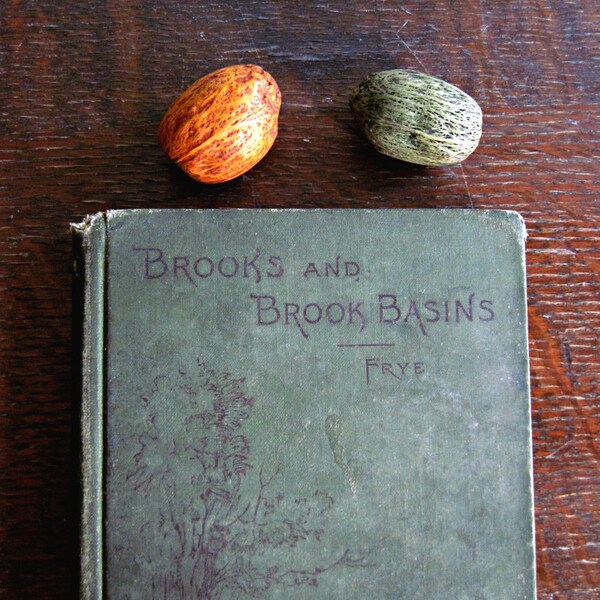 Antique Geography Books, Botanical Prints, Science Books, Geology Books, Nature Book, Old Prints, Old Books for Sale, Antique Books, 1890's