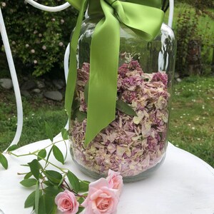 May include: A large glass jar filled with dried rose petals, tied with a vibrant green satin ribbon. Two pink roses and a rose stem with green leaves rest on a white surface, creating a floral arrangement.