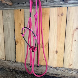 Pink Loping Hackamore