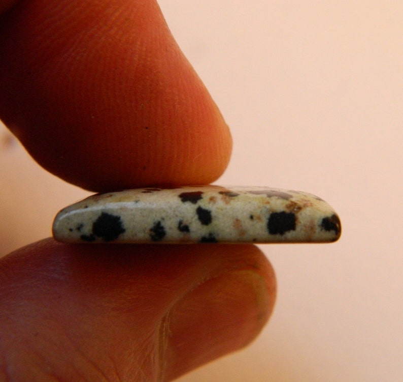 Large square Dalmation Jasper Cabochon Cab