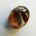 Large sparkle Red ans Orange Phantom Quartz Lodolite Oval ,Briolette pendant supply, red ,pendant supply ,focal pendant ,garden quartz ,