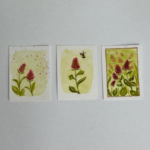 May include: Three rectangular watercolor paintings on white paper. The first shows two pink clover flowers on a light green background with red paint splatters. The second features a single pink clover and a bee. The third depicts a cluster of clover.