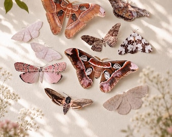 Decoración de pared con polillas de papel gigantes / Set de arte de naturaleza para habitación infantil con temática de bosque