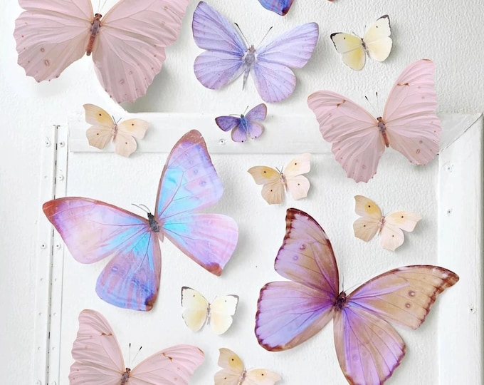 Giant Sunset Paper Butterflies Pink