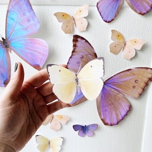 Giant pastel sunset paper butterflies image 5