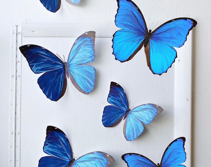 Giant Blue Morpho Paper Butterfly Decor