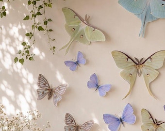 Giant Paper Luna moths and Butterflies