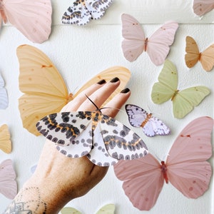 Honigpapier Schmetterling & Motte Dekor: 22-teiliges Wandkunst Set