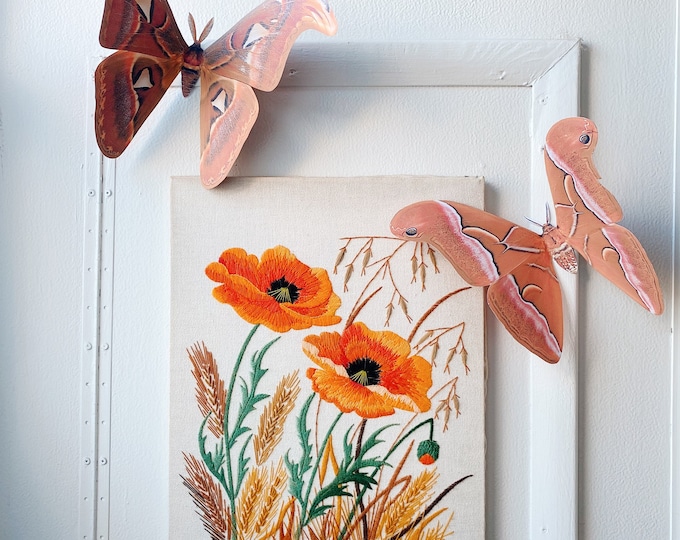 Goliath Paper Moths, wall hanging, realistic photograph, home and party decor