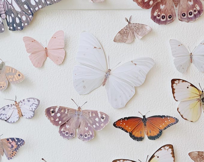 Paper Butterfly Wall Decor: Woodland Nursery Collection