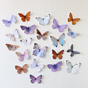 20 tiny assorted paper butterflies