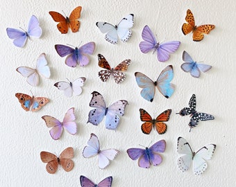 20 tiny assorted paper butterflies