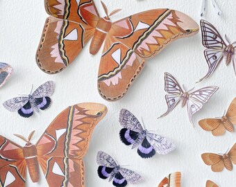 Vintage Paper Moths home decor
