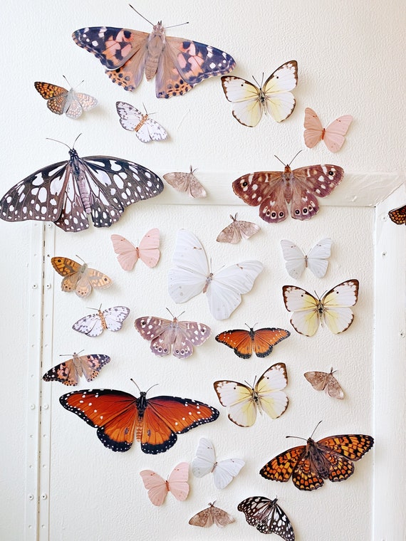 Woodsy Paper Butterflies and Moths 
