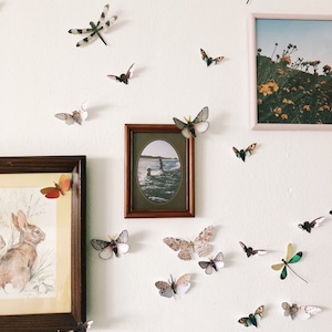 Paper bug display Rustic Home Decor
