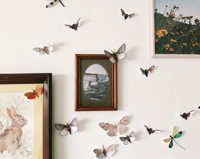 Paper bug display Rustic Home Decor