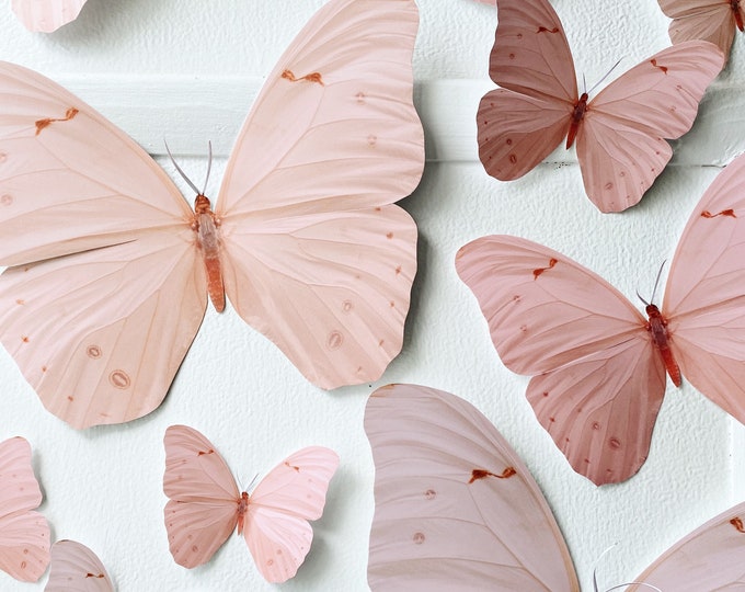 Goliath Peachy Pink ombre Paper Butterflies
