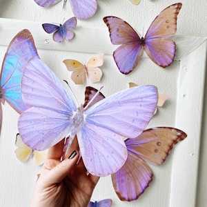 Giant pastel sunset paper butterflies image 6