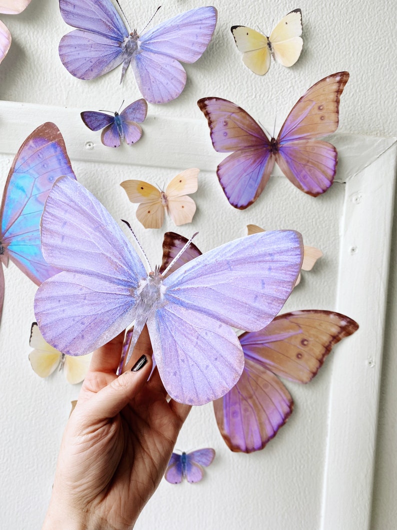 Giant pastel sunset paper butterflies image 6
