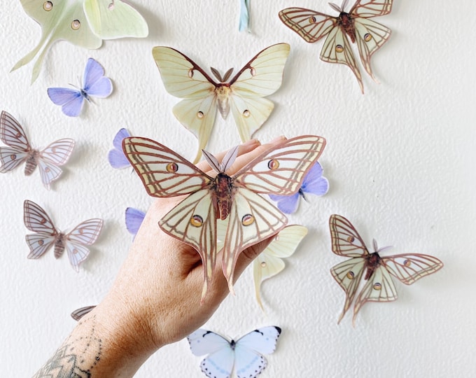 Paper Luna moths and Butterflies
