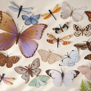Può includere: Una collezione di varie figure di farfalle e libellule in diversi colori, tra cui viola, arancione, blu, bianco, marrone e verde. L'assortimento presenta insetti con complessi motivi alari, dimensioni varie e corpi delicati.