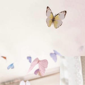 Puede incluir: Un techo blanco con una variedad de mariposas coloridas colgando de &eacute;l. Las mariposas est&aacute;n hechas de papel y son de varios tama&ntilde;os y formas. Las mariposas son de color rosa claro, azul claro y amarillo. El texto "@arielrosephotography" est&aacute; en la parte inferior de la imagen.