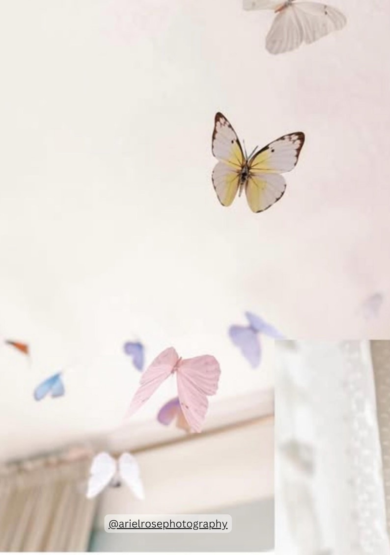 Puede incluir: Un techo blanco con una variedad de mariposas coloridas colgando de &eacute;l. Las mariposas est&aacute;n hechas de papel y son de varios tama&ntilde;os y formas. Las mariposas son de color rosa claro, azul claro y amarillo. El texto "@arielrosephotography" est&aacute; en la parte inferior de la imagen.