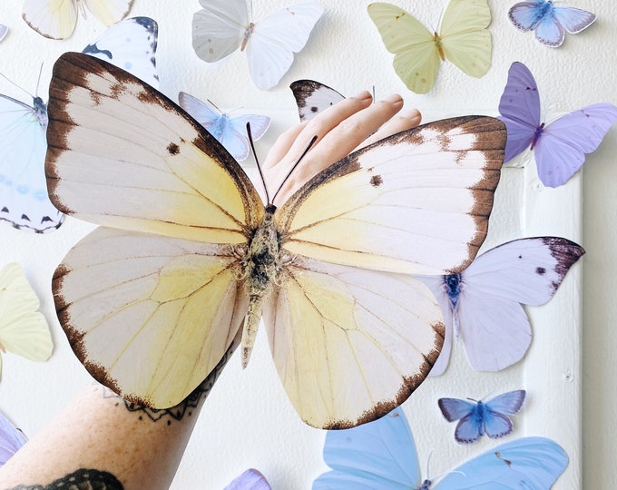 Fairy Tale paper butterfly decor, nursery, baby shower, home decor