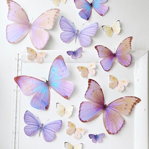 Giant pastel sunset paper butterflies image 1