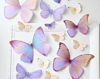 Giant pastel sunset paper butterflies