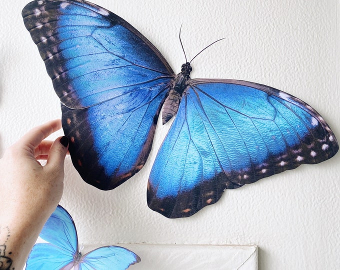 Goliath Blue Morpho paper butterflies 5-17 inches