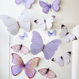 Giant pastel paper butterflies