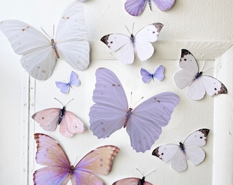 Giant pastel paper butterflies