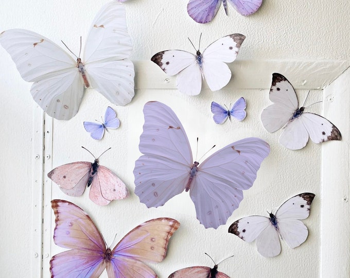 Giant Pastel Paper Butterflies