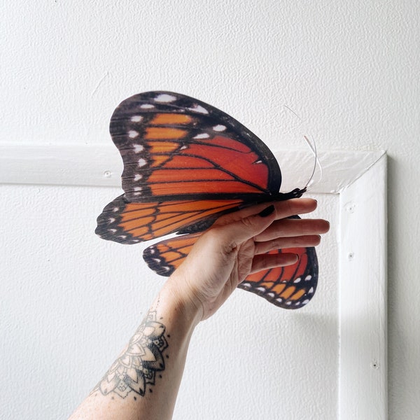 3 Goliath  paper butterflies