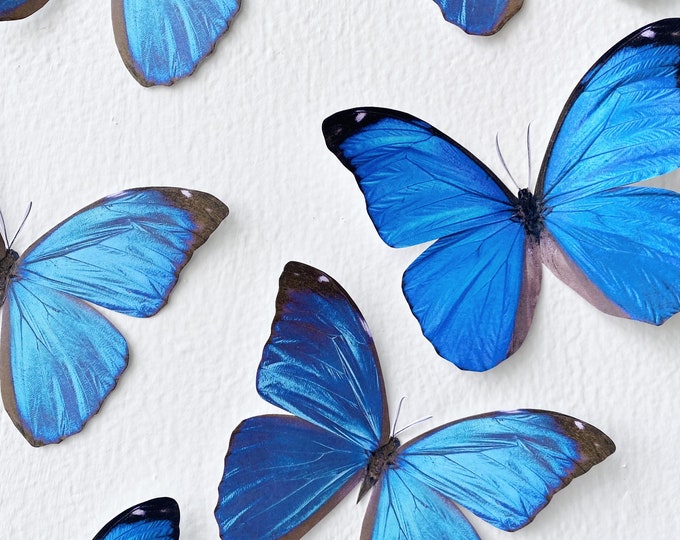 Blue Paper Butterfly Decor